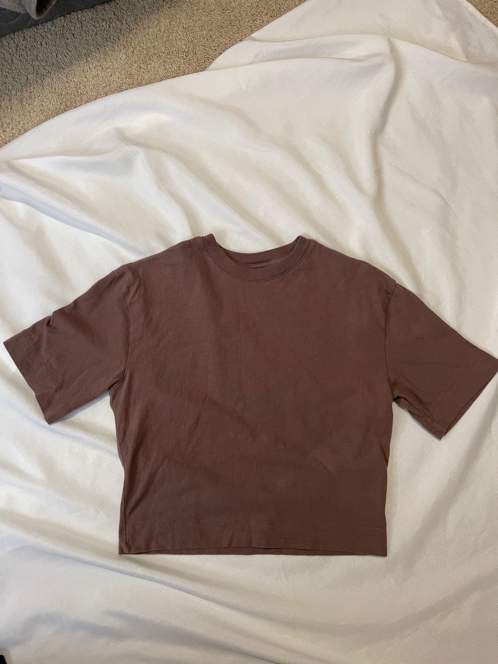 Abercrombie & Fitch Brown Cropped Crewneck Tee